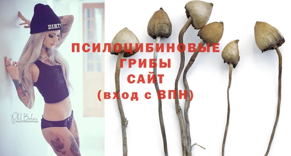mdpv Баксан