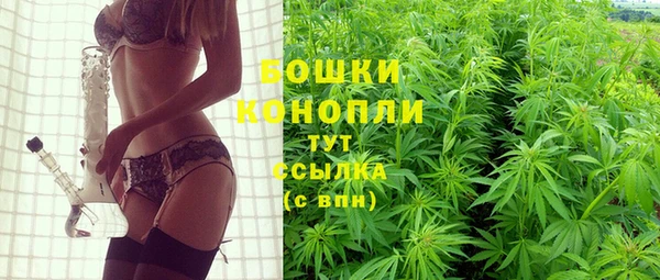 винт Армянск