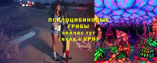 прущая мука Аркадак
