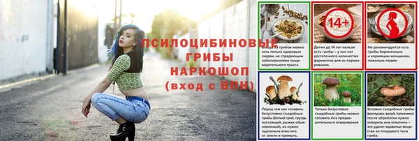 винт Армянск