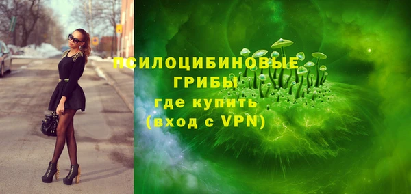 винт Армянск